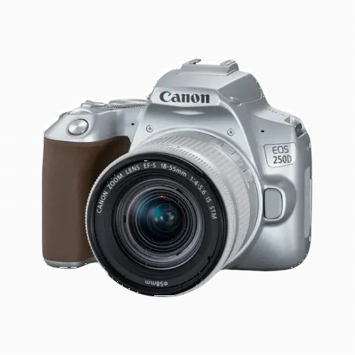 Зеркальный фотоаппарат Canon EOS 250D + EF-S 18-55 IS, Серебристый