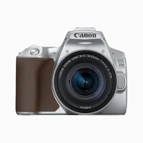 Зеркальный фотоаппарат Canon EOS 250D + EF-S 18-55 IS, Серебристый