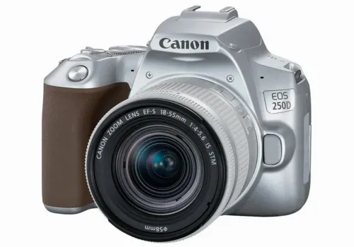 Зеркальный фотоаппарат Canon EOS 250D + EF-S 18-55 IS, Серебристый