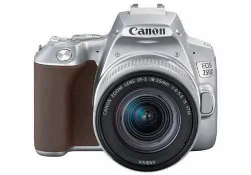 Зеркальный фотоаппарат Canon EOS 250D + EF-S 18-55 IS, Серебристый