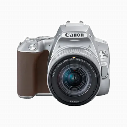 Зеркальный фотоаппарат Canon EOS 250D + EF-S 18-55 IS, Серебристый