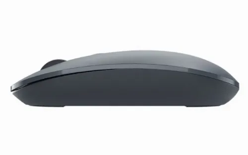 Mouse Wireless A4Tech FG20, Albastru