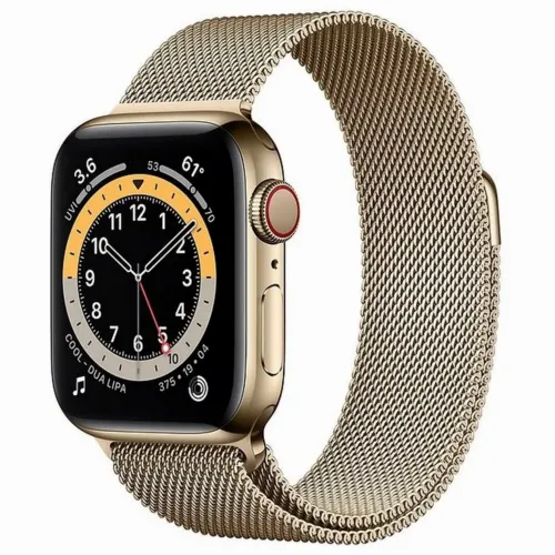 Умные часы Apple Watch Series 6 GPS + Cellular M06W3, 40мм, Нержавеющая сталь с Золотистой Миланской петлей