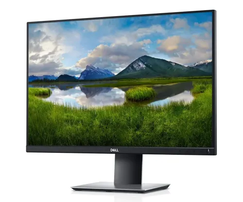 24,1" Monitor DELL P2421, IPS 1920x1200 WUXGA, Negru