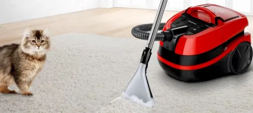 Пылесос Bosch BWD421PET, Красный | Черный