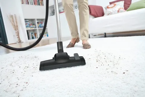 Пылесос Karcher DS 6, Желтый | Черный