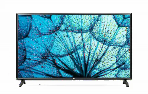 43