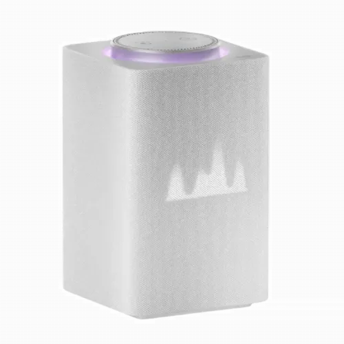 Difuzor Inteligent Yandex YNDX-00052, Gri
