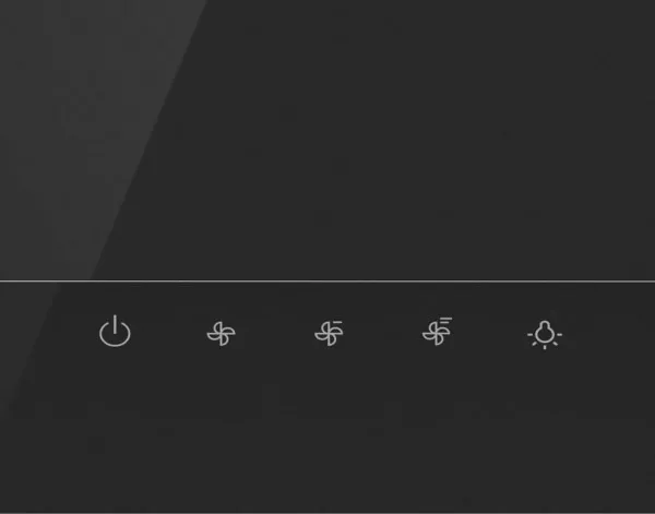 Hood Gorenje WHI 649 EXBG