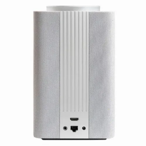 Difuzor Inteligent Yandex YNDX-0008, Gri