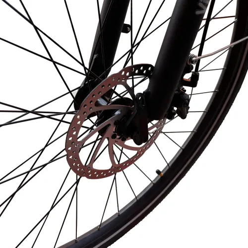 Bicicleta electrica STRADALE 250W Villager