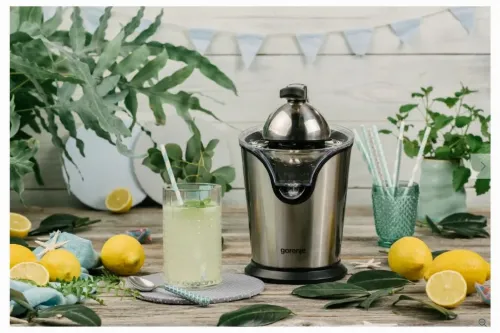 Соковыжималка для цитрусовых Gorenje Citruseta CJ100HE, Нержавеющая сталь