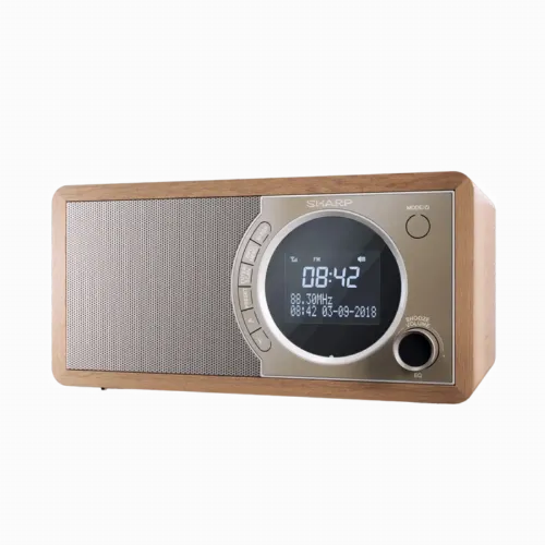 Портативное радио Sharp DR-450BRV03, Коричневый