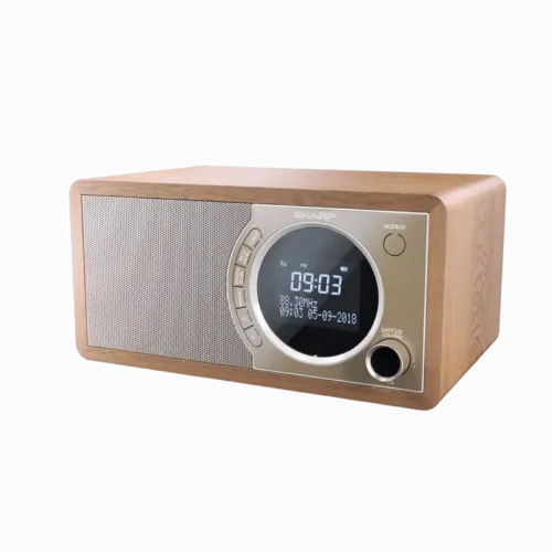 Портативное радио Sharp DR-450BRV03, Коричневый
