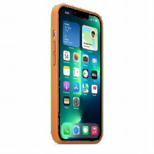 Чехол Apple iPhone 13 Pro Max, Золотисто-Коричневый