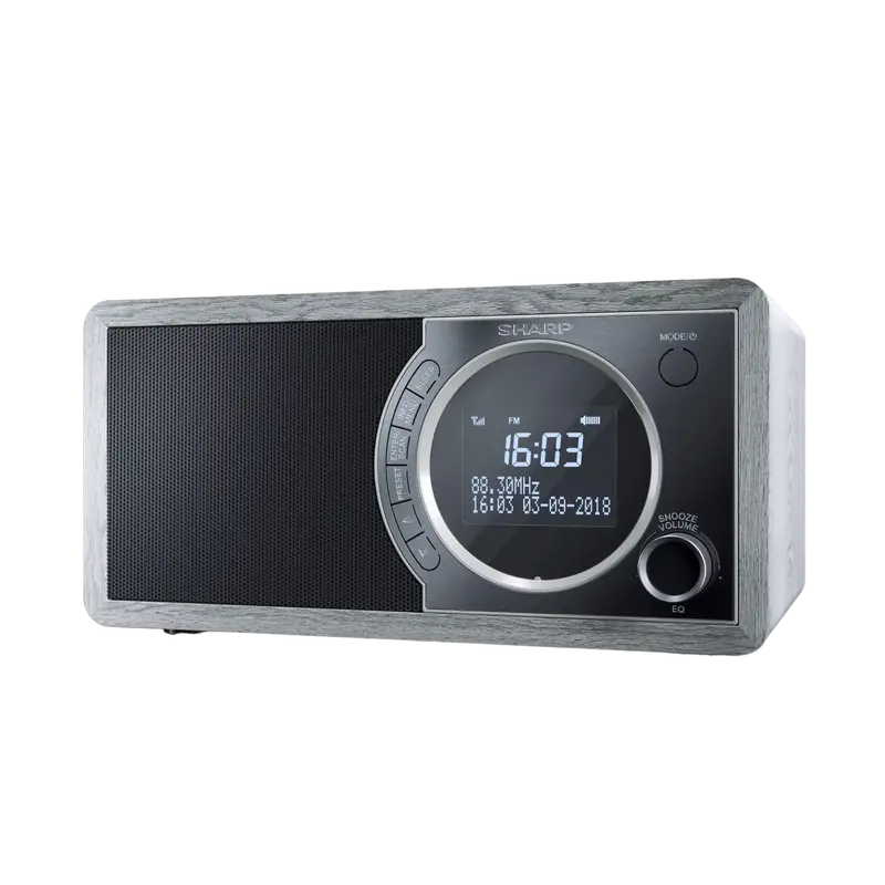 Radio portabil Sharp DR-450GRV02, Grey