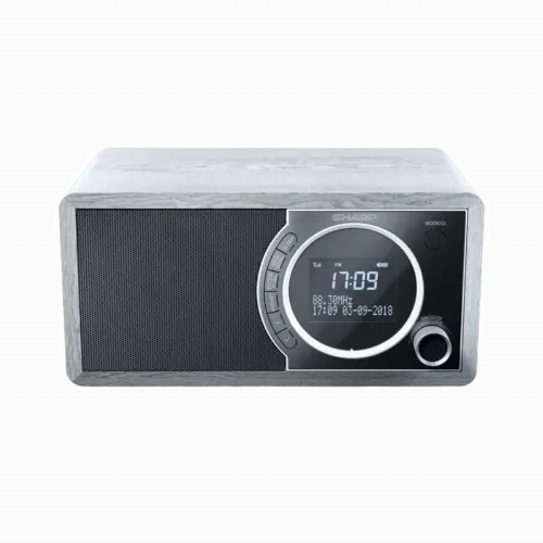 Портативное радио Sharp DR-450GRV02, Grey