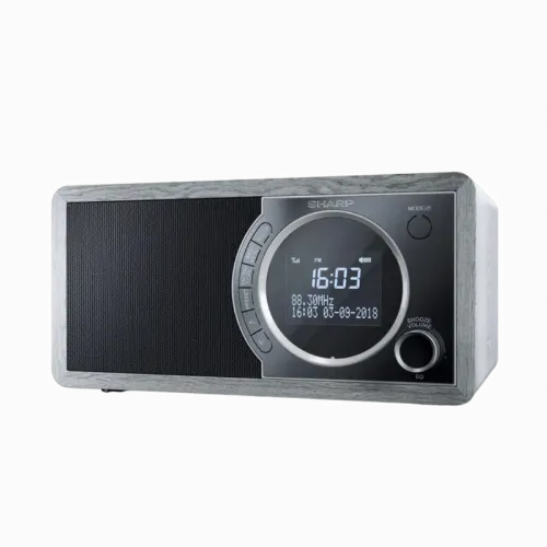 Портативное радио Sharp DR-450GRV02, Grey