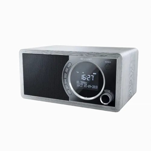 Портативное радио Sharp DR-450GRV02, Grey