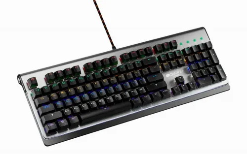 Tastatură Canyon Interceptor, Cu fir, Negru/Argintiu
