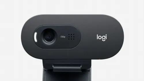Cameră Web Logitech C505e, HD 720p, Negru