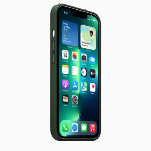 Чехол Apple iPhone 13 Pro Max, Sequoia Green