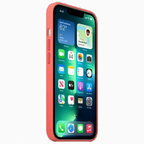 Чехол Apple iPhone 13 Pro Max, Pink Pomelo