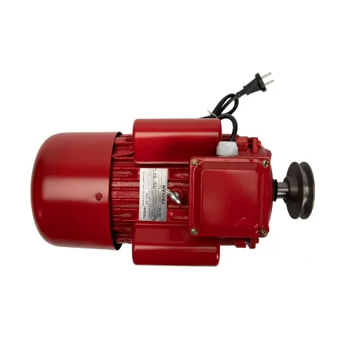 Motor electric 4,0 kW 3000rpm Micul Fermier