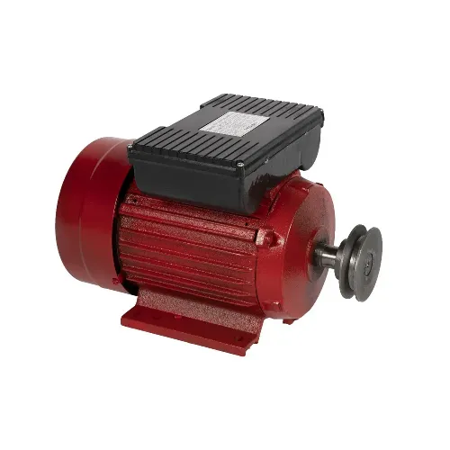 Motor electric 3:0 kW 3000rpm Micul Fermier