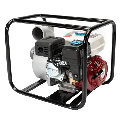 Мотопомпа Micul Fermier 3 WP 60