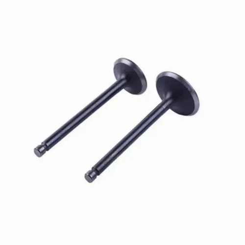 Supape set 2 buc - 186F