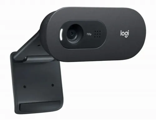 Cameră Web Logitech C505 HD, HD 720p, Negru