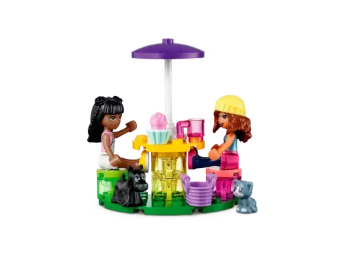 Constructor LEGO 41699, 6+