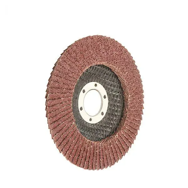 Disc cu lamele abrazive WOKIN P100 125×22,2mm 