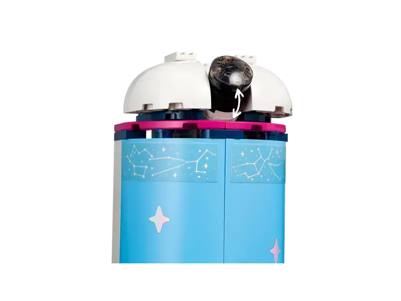 Constructor LEGO 41713, 8+