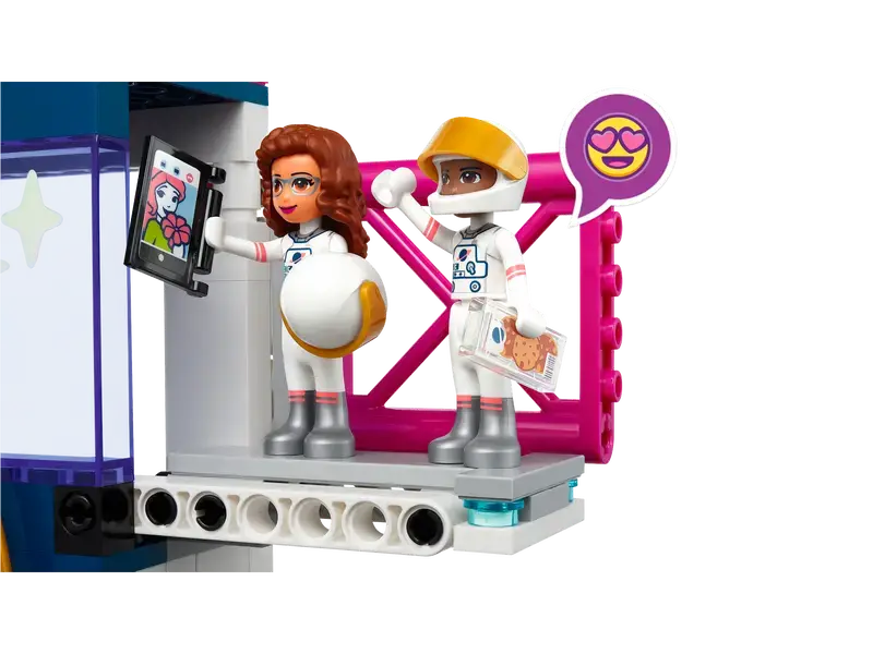 Constructor LEGO 41713, 8+