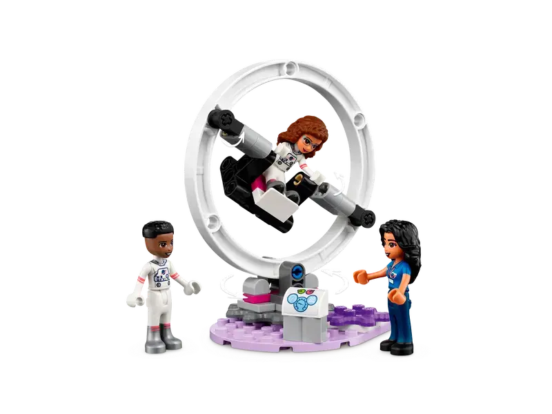 Constructor LEGO 41713, 8+