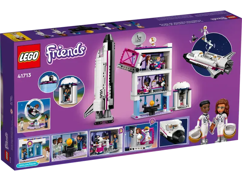 Constructor LEGO 41713, 8+