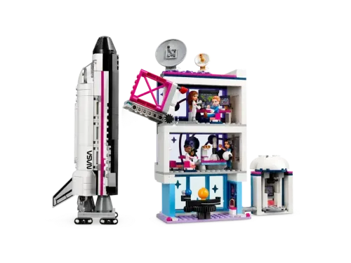 Constructor LEGO 41713, 8+