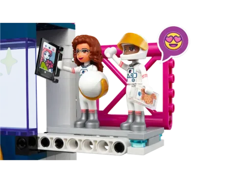 Constructor LEGO 41713, 8+