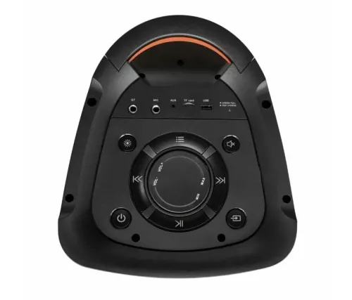 Портативная колонка BLAUPUNKT PB06DB, Чёрный