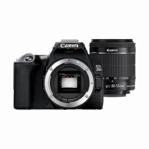Aparat foto DSLR Canon EOS 250D, Negru