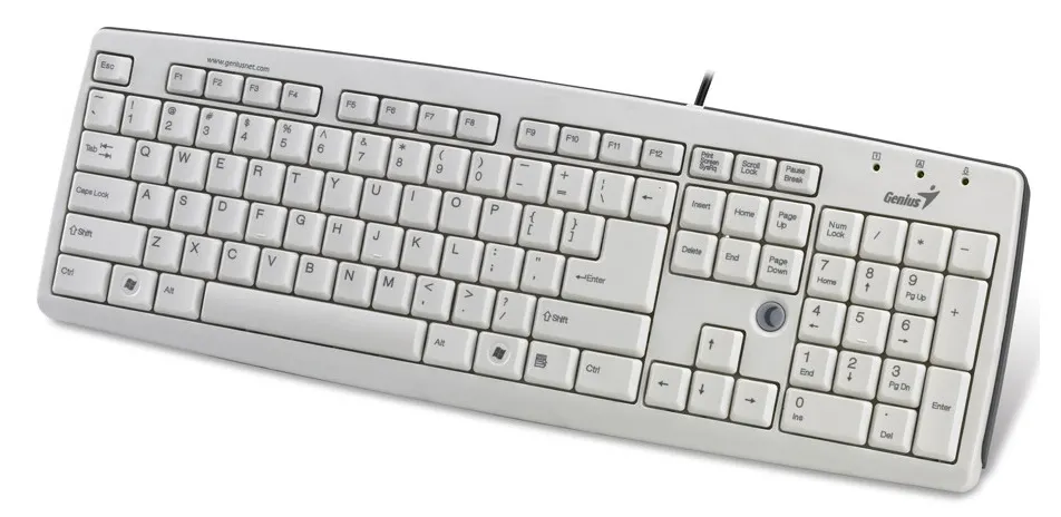 Клавиатура Genius KB-06XE, Проводное, Белый