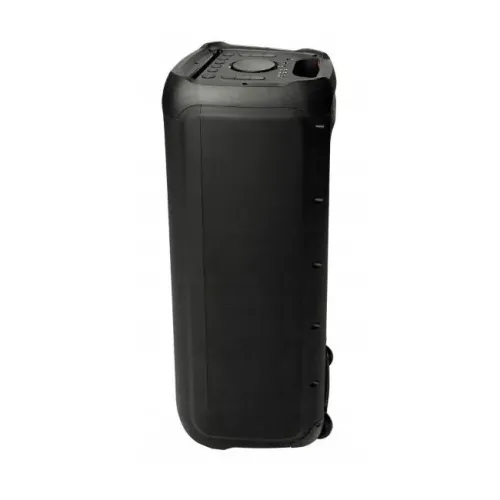 Портативная колонка BLAUPUNKT PB12DB, Чёрный