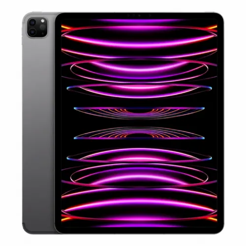 Apple 12.9-inch iPad Pro 512Gb Wi-Fi + Cellular Space Gray (MP223RK/A)